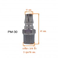 PM30 วัดไซต์